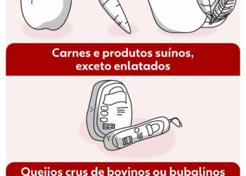 Vai trazer comida do exterior? Veja o que pode entrar no Brasil e o que exige autorização