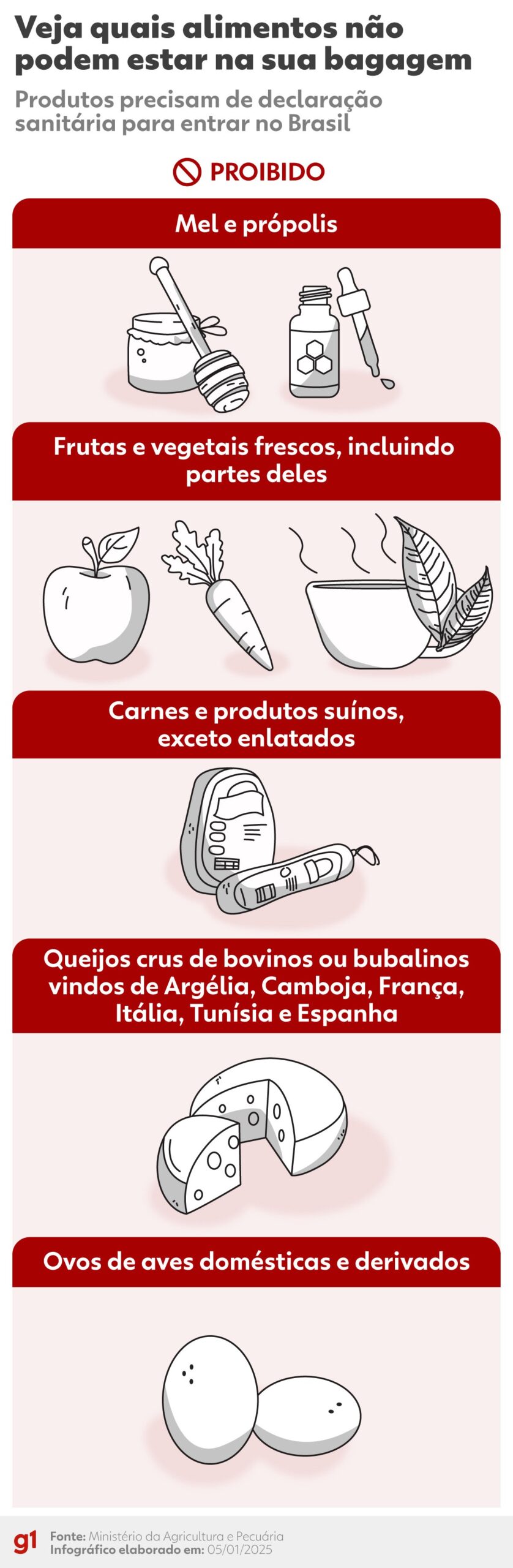 Vai trazer comida do exterior? Veja o que pode entrar no Brasil e o que exige autorização