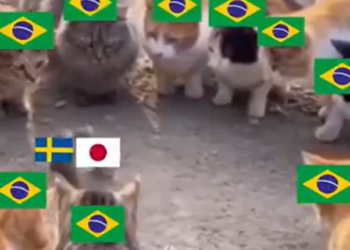 Japão x Suécia: veja memes do empate que definiu o próximo adversário do Brasil