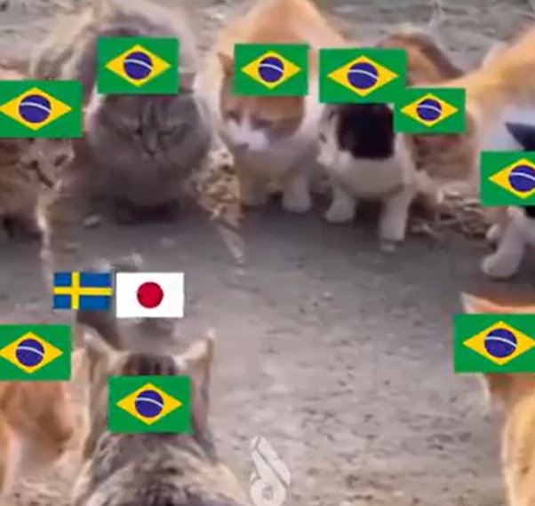 Japão x Suécia: veja memes do empate que definiu o próximo adversário do Brasil