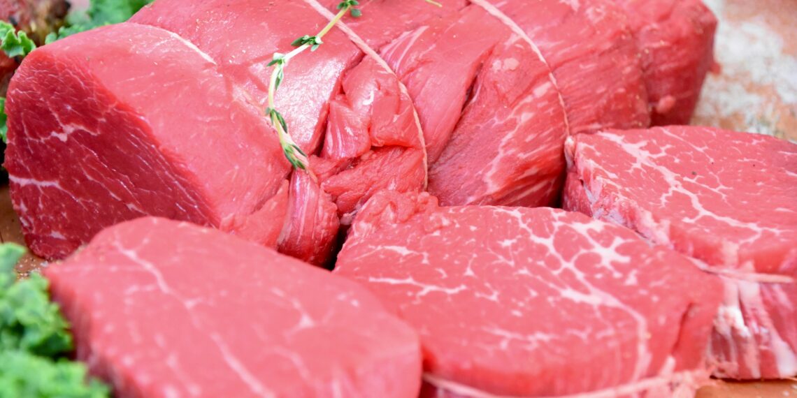 Veto à carne do Brasil: por que a União Europeia quer mais controle sobre antibióticos na pecuária