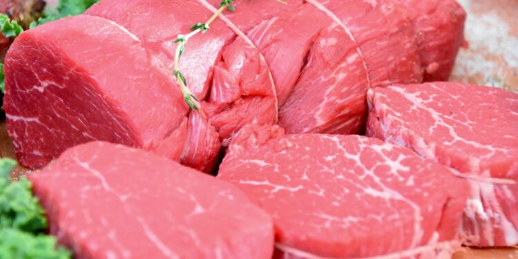 Veto à carne do Brasil: por que a União Europeia quer mais controle sobre antibióticos na pecuária