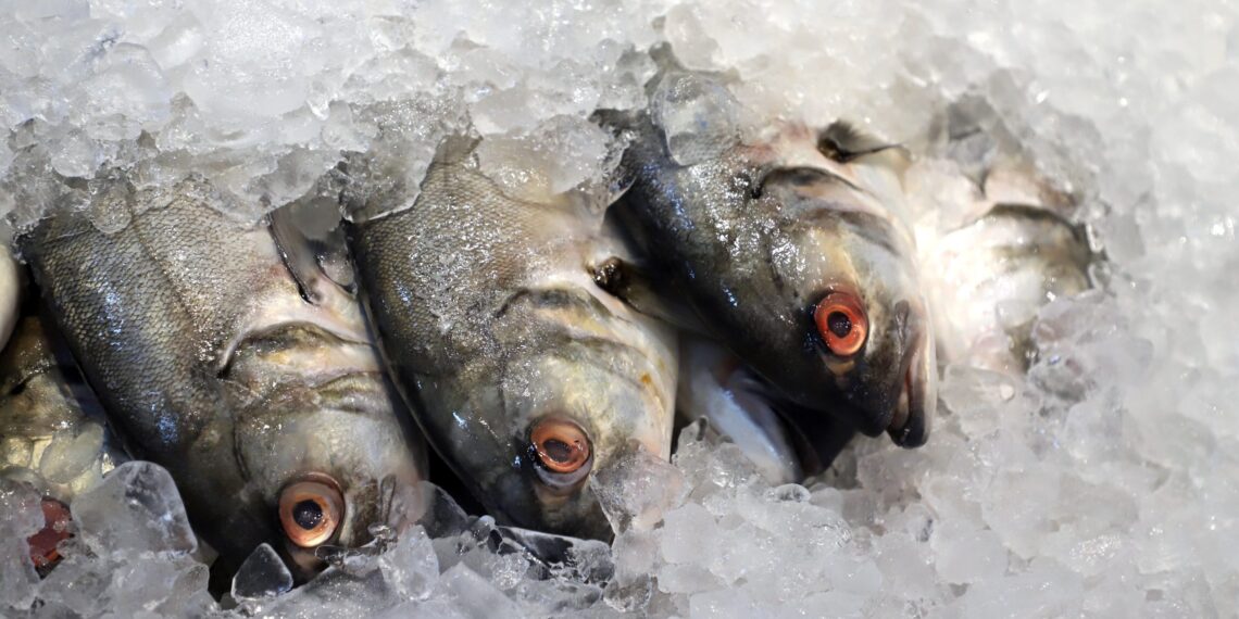 UE avalia reabrir seu mercado para pescados brasileiros