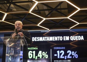 Desmatamento na Amazônia cai 61,4% em maio de 2026