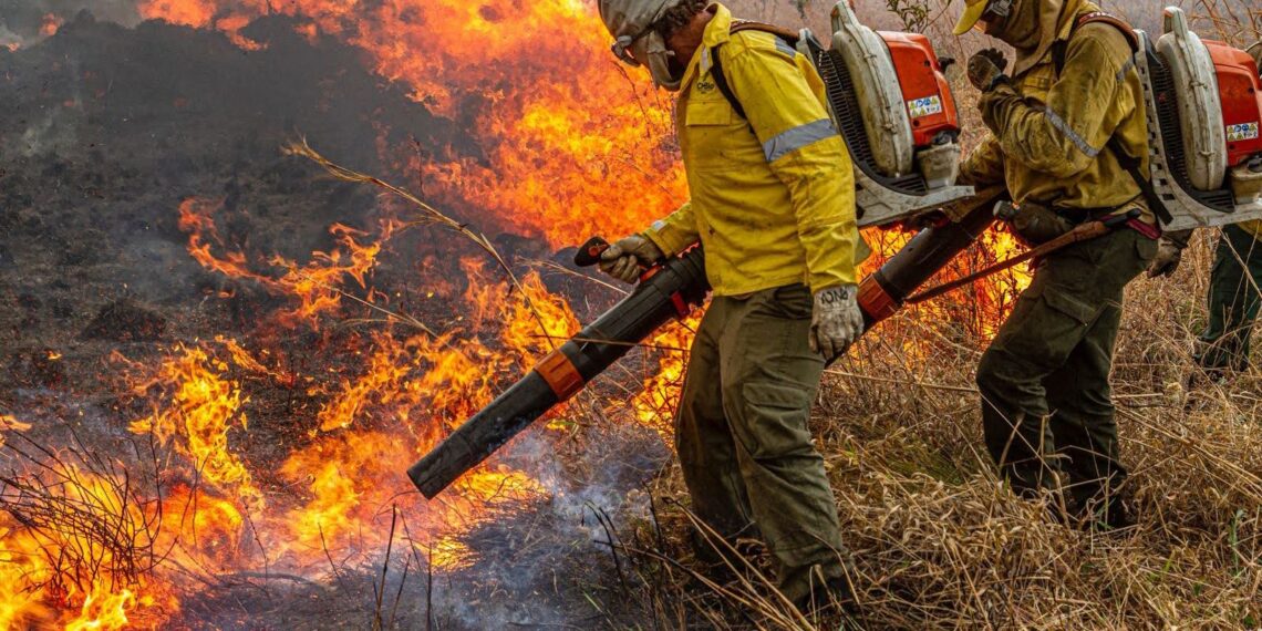 Governo repassa R$ 337 milhões para combate a incêndios e desmatamento