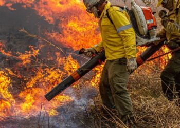 Governo repassa R$ 337 milhões para combate a incêndios e desmatamento