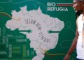 Dia Mundial do Refugiado: pedidos de asilo sobem 11% no Brasil em 2025