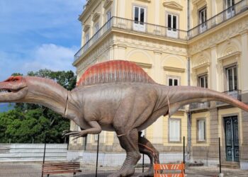 Museu Nacional ganha réplica de dinossauro brasileiro com 15 metros