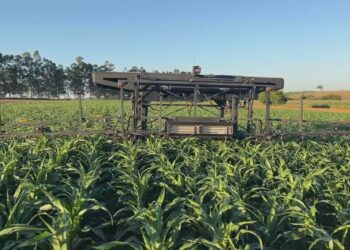 Agro 5.0: novas tecnologias mudam rotina no campo e cortam desperdício no interior de SP