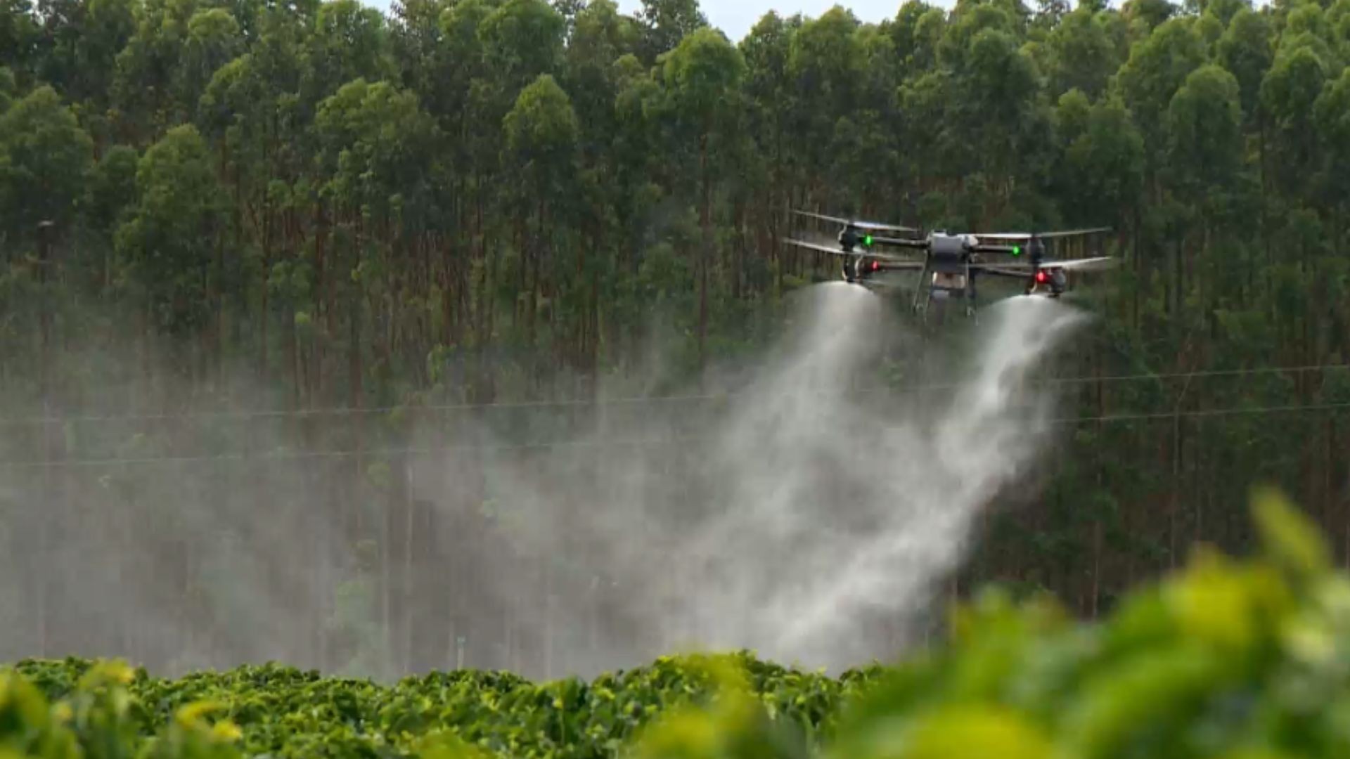 Como drones e máquinas mudam rotina e dão mais qualidade de vida para produtores rurais no ES