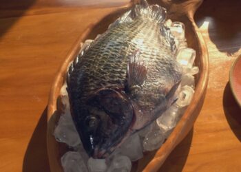 Tarifa dos EUA sobre tilápia brasileira pode baratear o peixe? Entenda
