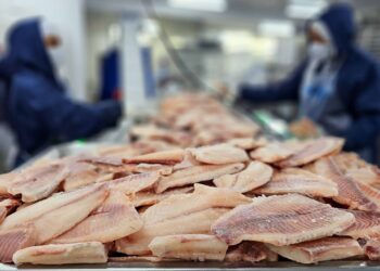 Tarifaço de Trump: maior associação de pescados dos EUA defenderá produto brasileiro em audiência
