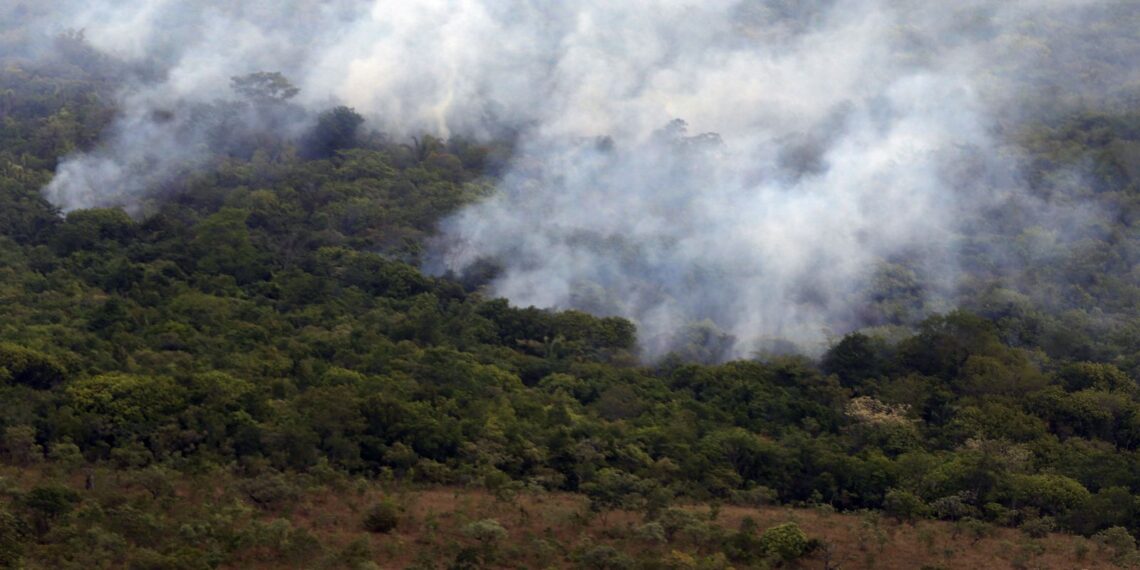Copernicus: emissão global de gases por incêndios é a menor em 24 anos