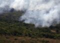 Copernicus: emissão global de gases por incêndios é a menor em 24 anos