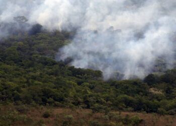 Copernicus: emissão global de gases por incêndios é a menor em 24 anos