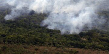 Copernicus: emissão global de gases por incêndios é a menor em 24 anos