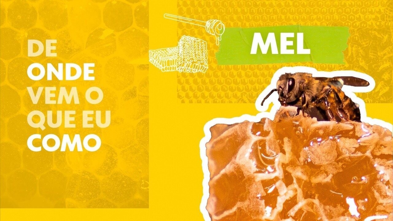 Com as próprias mãos, homem já salvou cerca de 6 milhões de abelhas