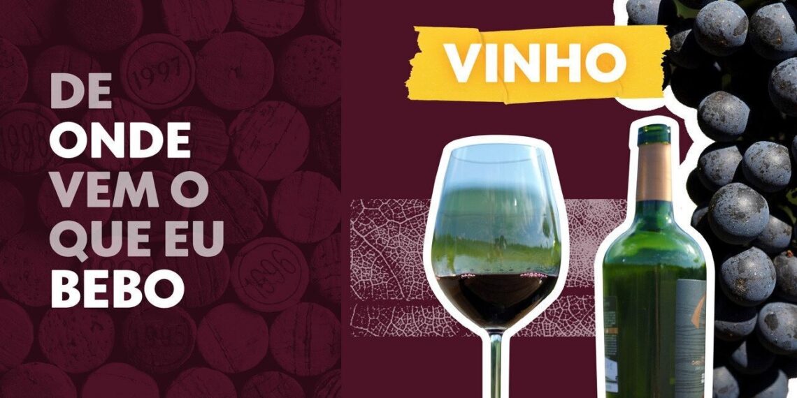 Calor extremo ameaça produção de vinho na França