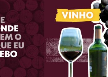 Calor extremo ameaça produção de vinho na França
