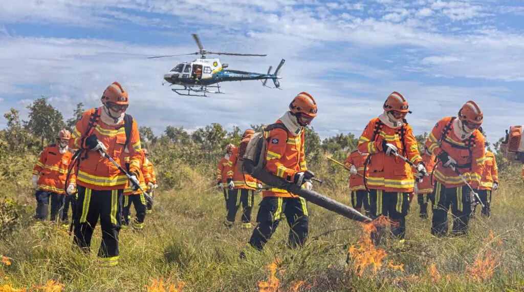 Período proibitivo de uso do fogo começa nesta quarta (1º); bombeiros alertam para estiagem severa
