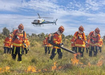 Período proibitivo de uso do fogo começa nesta quarta (1º); bombeiros alertam para estiagem severa