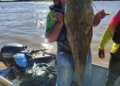 Jaú de 1,30 metro garante prêmio especial no Festival Internacional de Pesca Esportiva de Cáceres
