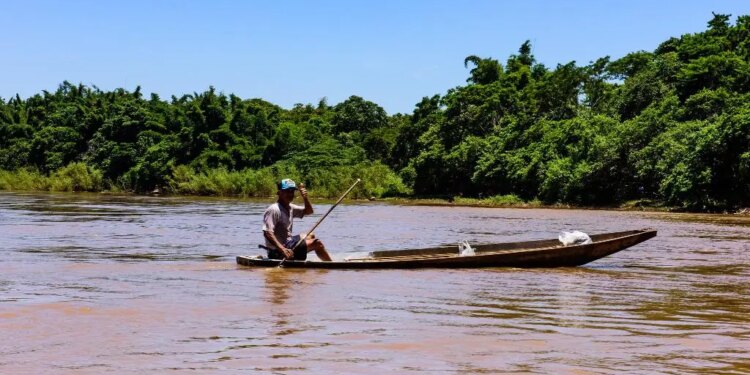 Mudança na Lei da Pesca deve liberar mais espécies em MT