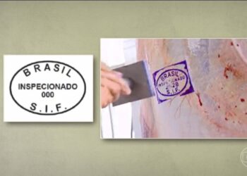 Como produzir biofertilizantes para nutrir o solo e as plantas