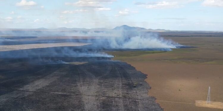 Peru declara estado de emergência em 40% do país por chuvas causadas pelo El Niño
