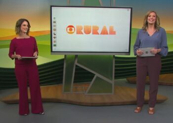 Por que ovos de codorna têm manchas e cores diferentes? Entenda