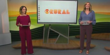 Por que ovos de codorna têm manchas e cores diferentes? Entenda
