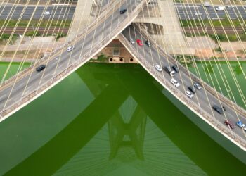 Por que maioria dos brasileiros trabalha hoje, mas São Paulo tem folga? Entenda motivo e regras