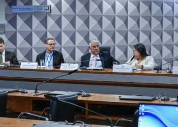 Defensores pedem regras mais rígidas para publicidade das bets 