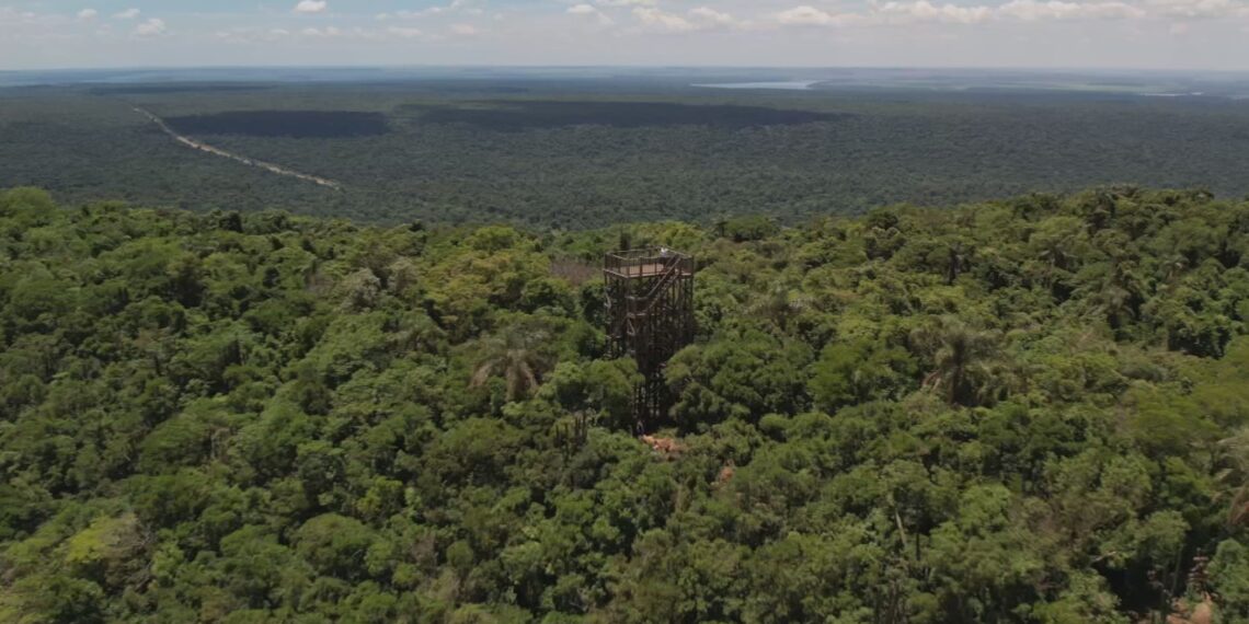 Parque Estadual Morro do Diabo: maior Mata Atlântica do interior SP