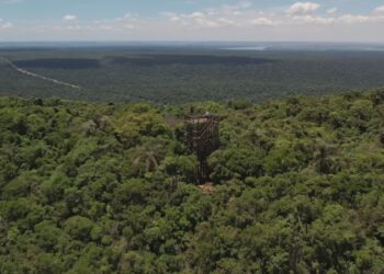 Parque Estadual Morro do Diabo: maior Mata Atlântica do interior SP