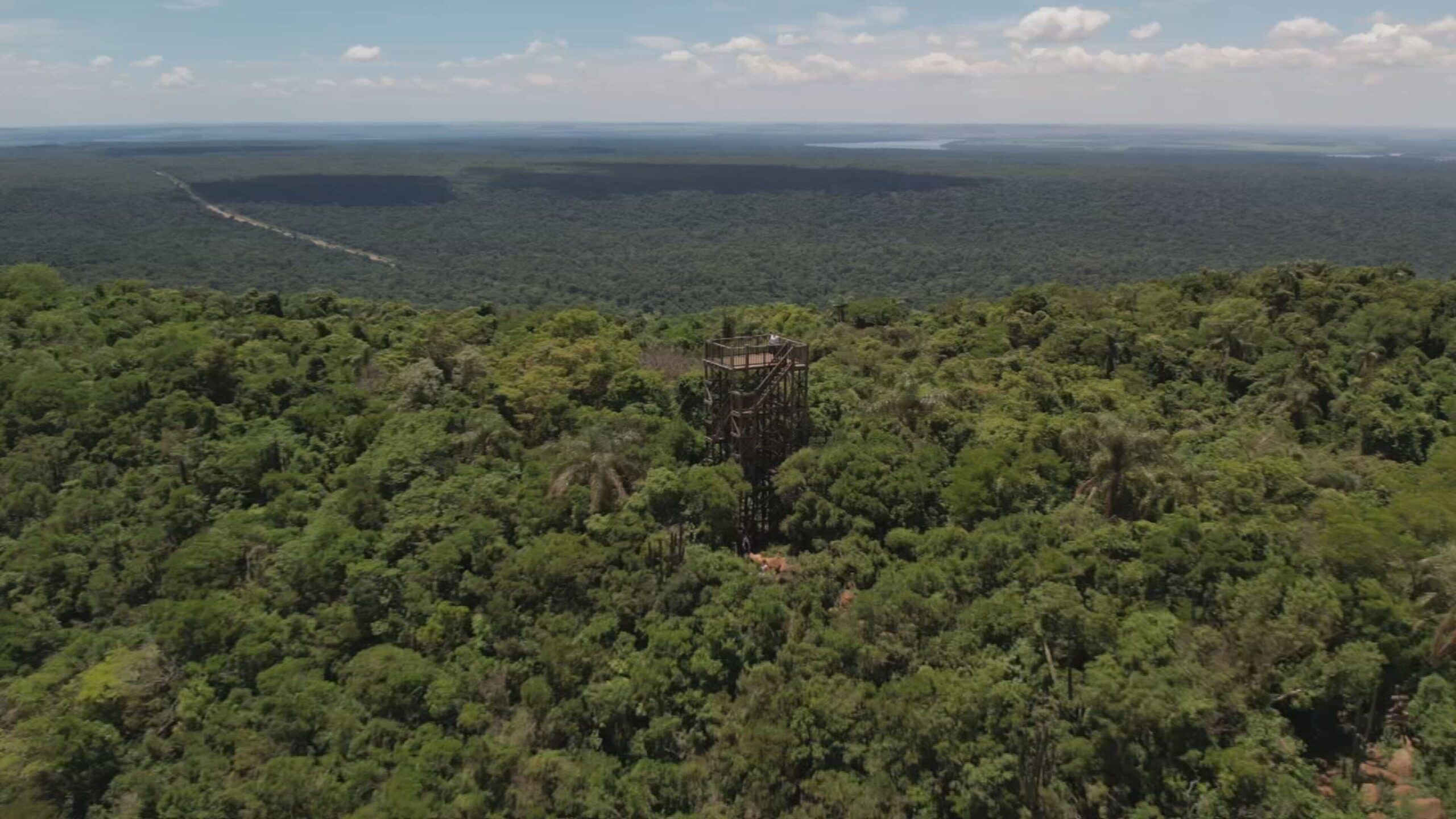 Parque Estadual Morro do Diabo: maior Mata Atlântica do interior SP