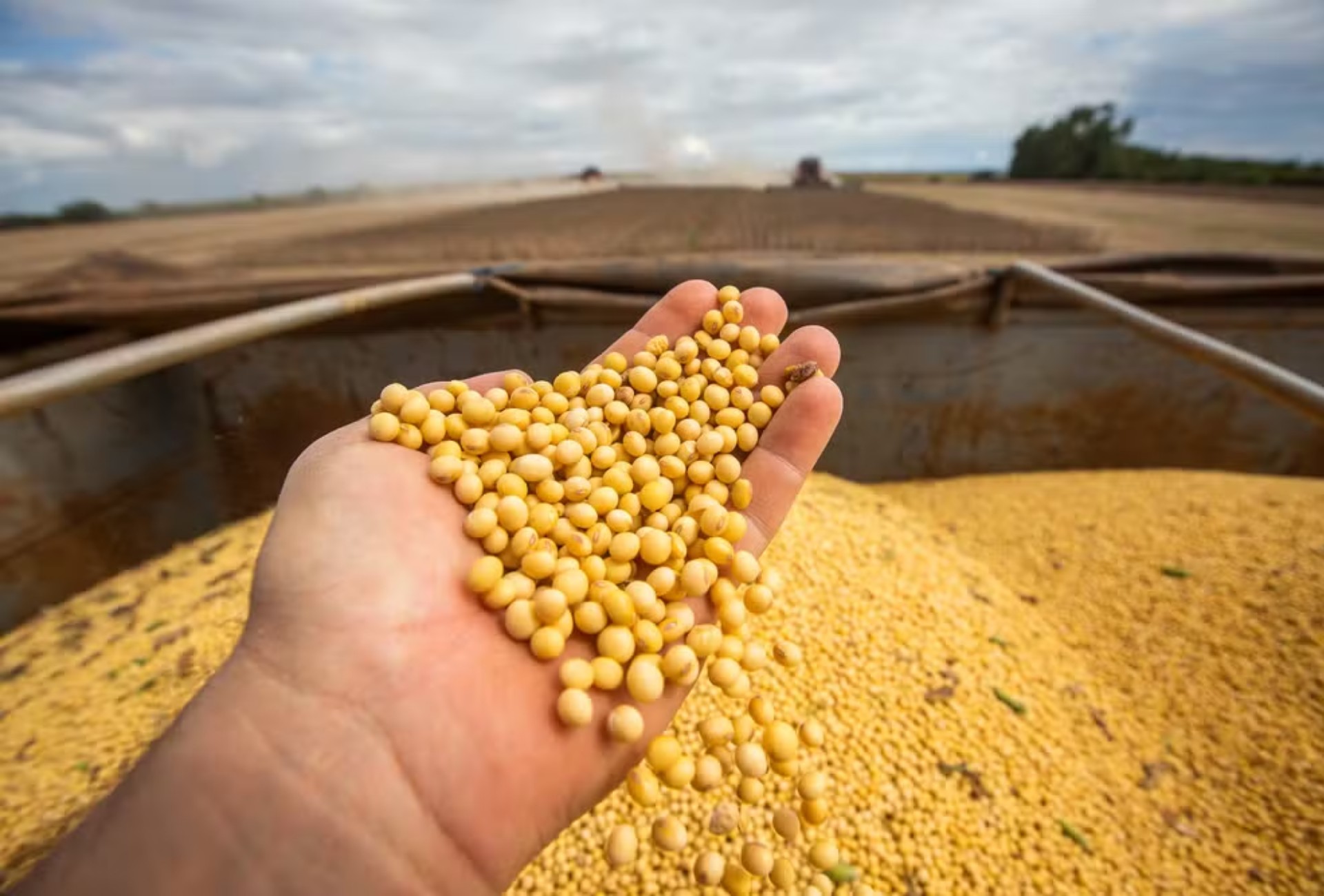 EUA podem perder para o Brasil o papel de maior exportador agrícola