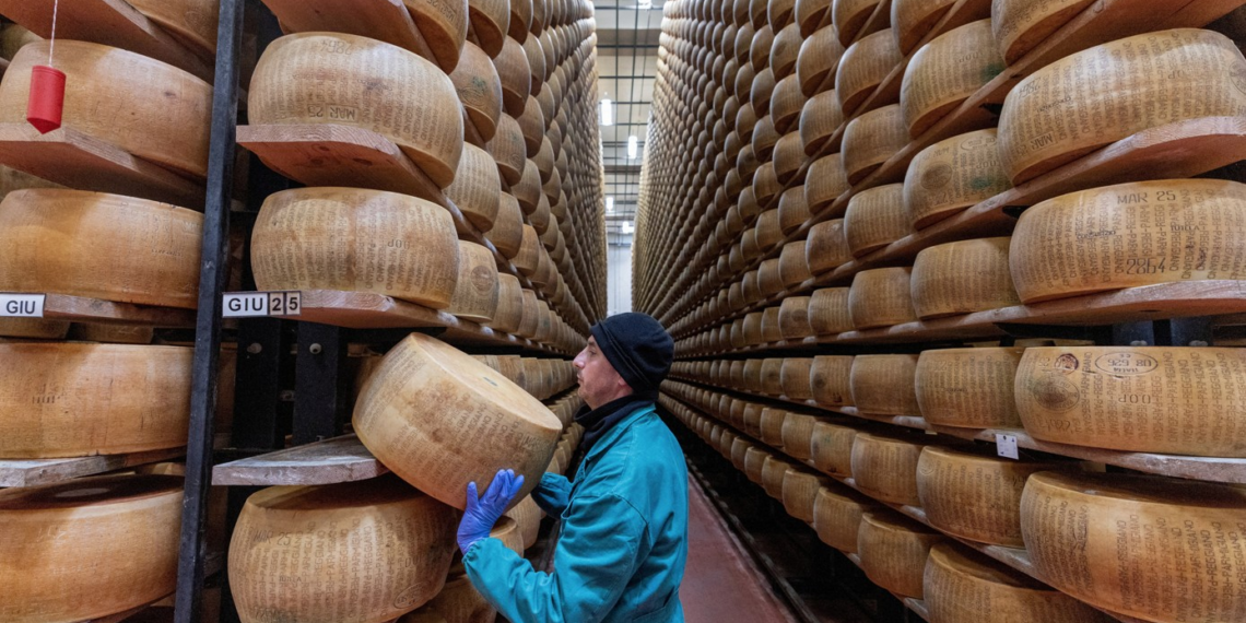 ‘Não queremos ser a última geração a comer esse queijo’: ondas de calor ameaçam a produção do Parmigiano Reggiano na Itália