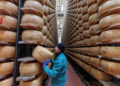 ‘Não queremos ser a última geração a comer esse queijo’: ondas de calor ameaçam a produção do Parmigiano Reggiano na Itália