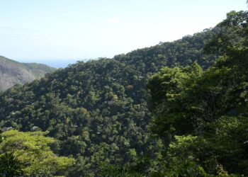 Plano mobiliza R$ 500 bi para financiamento sustentável no Brasil
