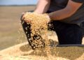 Tarifaço deve atingir 36,5% das exportações do agro brasileiro, diz CNA