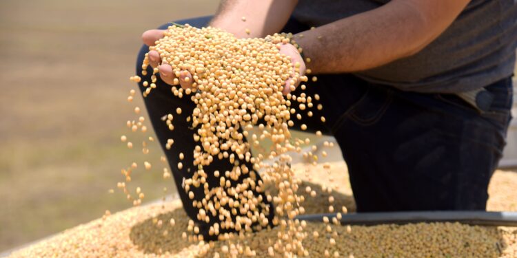 Tarifaço deve atingir 36,5% das exportações do agro brasileiro, diz CNA