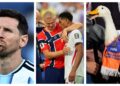Seleção de memes: g1 lista os melhores e os piores virais da Copa
