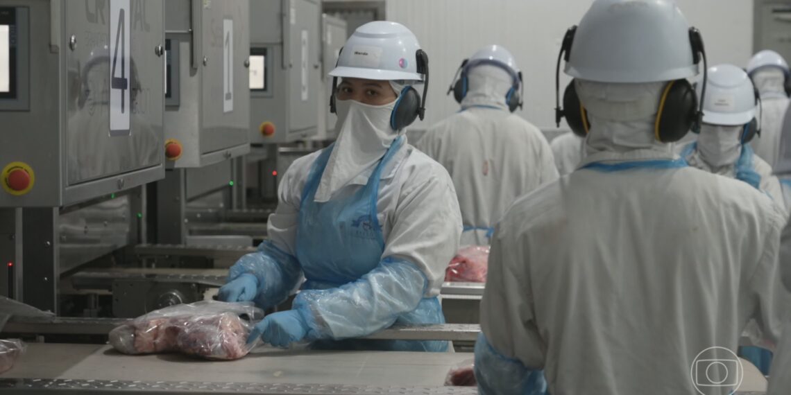 Brasil praticamente esgota cota de carne bovina à China e reduz abates, diz StoneX