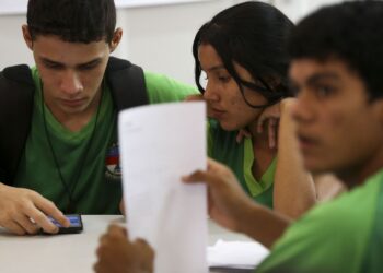 Inclusão digital no Brasil é feita pela metade, mostra pesquisa 