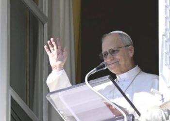 Papa Leão XIV pede proteção à vida desde a concepção