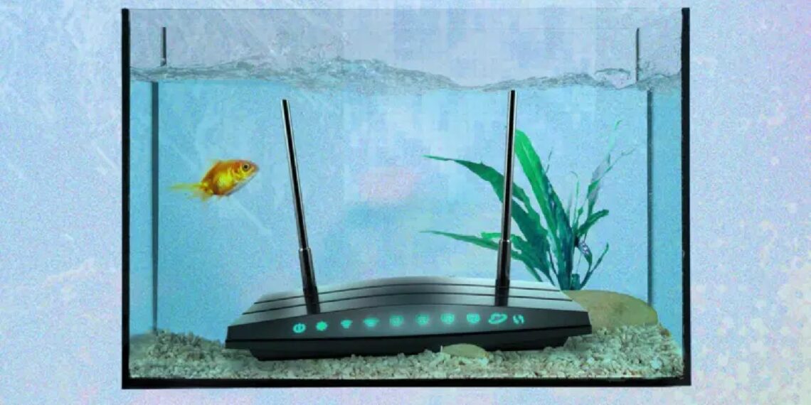 As coisas mais estranhas que podem piorar o sinal de wi-fi da sua casa