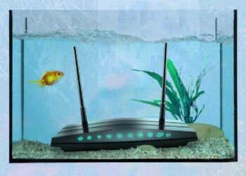 As coisas mais estranhas que podem piorar o sinal de wi-fi da sua casa