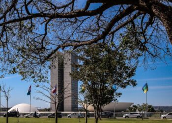 Congresso aumenta punição a crimes sexuais online contra crianças