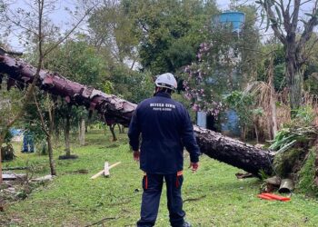 Rio Grande do Sul: chuvas deixam 720 desabrigados em Eldorado do Sul